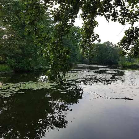 Zum Eulennest Апартаменты