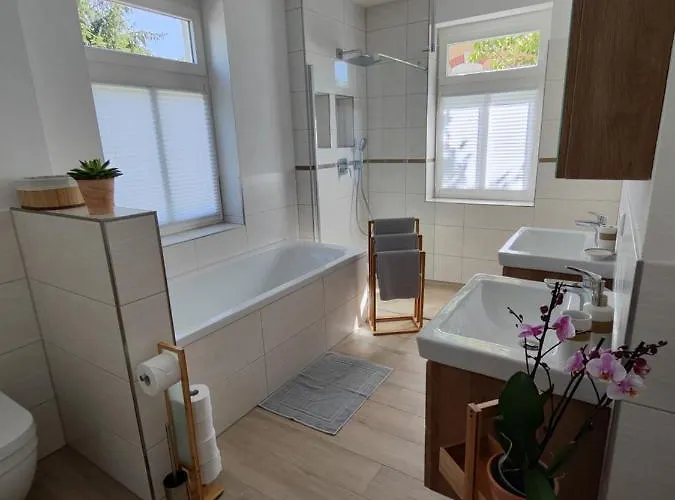 Zum Eulennest دريسدن