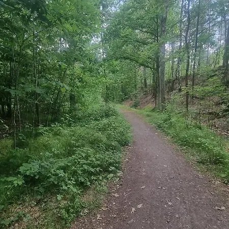 Lägenhet Zum Eulennest Dresden