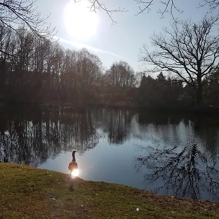 Lägenhet Zum Eulennest Dresden