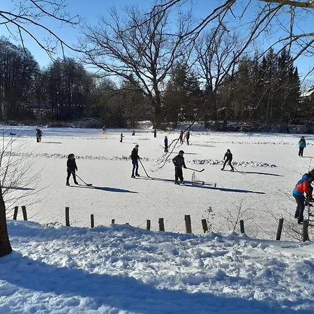 Zum Eulennest * Dresden