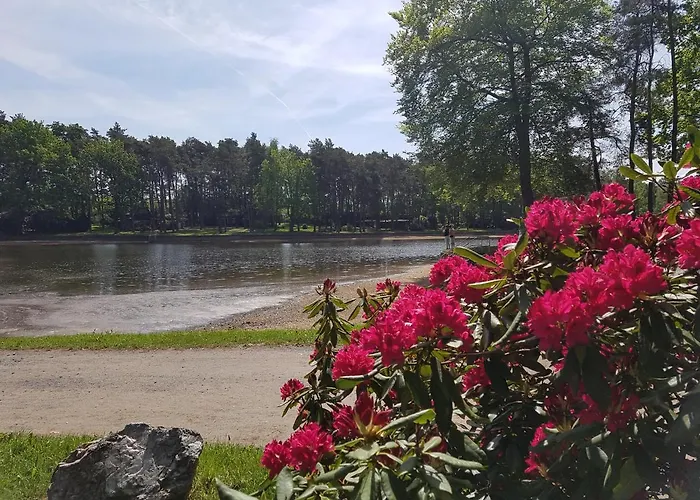 Zum Eulennest Appartamento