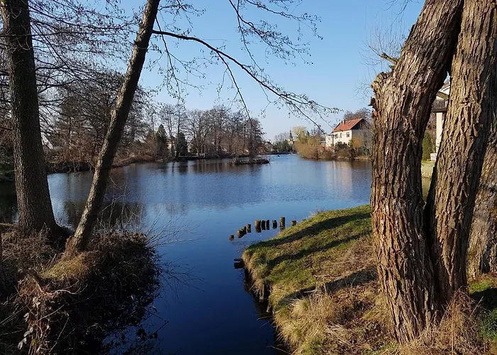 Zum Eulennest * Dresda