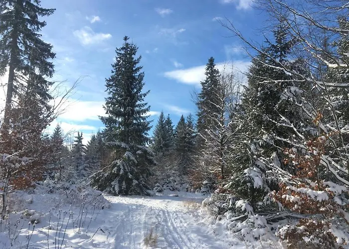 Zum Eulennest Dresda