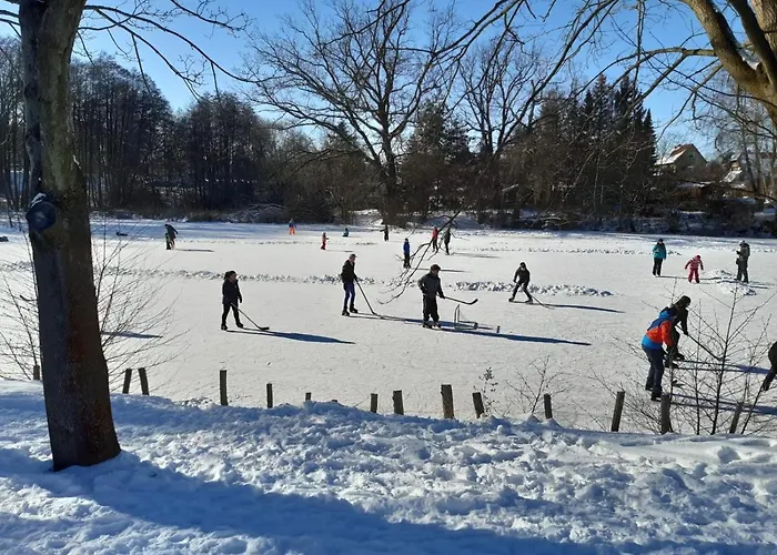 Zum Eulennest * 드레스덴