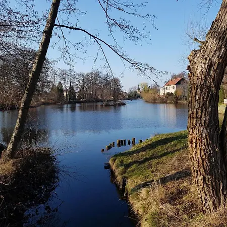 Zum Eulennest * Drezda