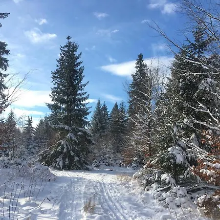Zum Eulennest Drezda